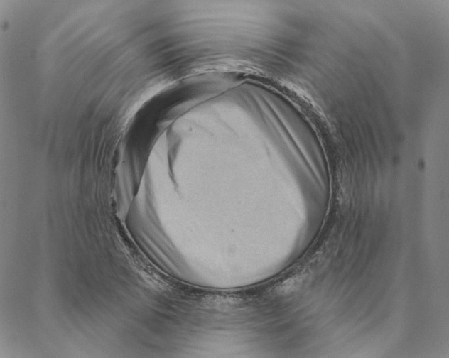 X0000088161073200706121555