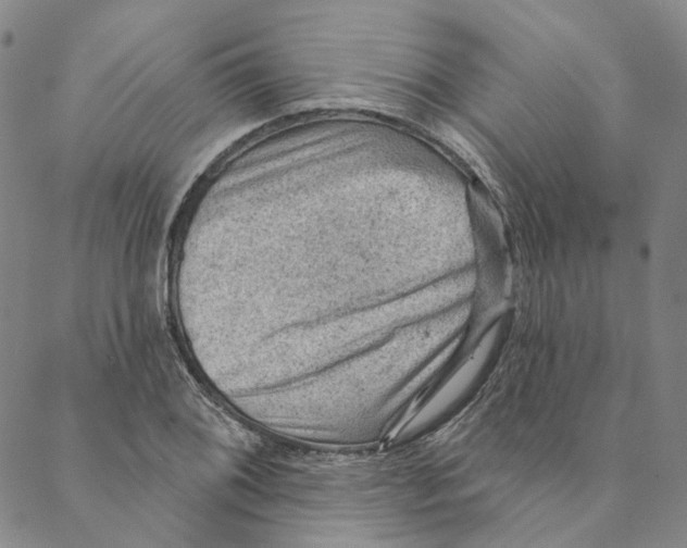 X0000088161076200706121555