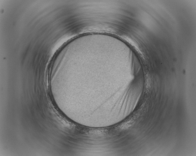 X0000088161078200706121555