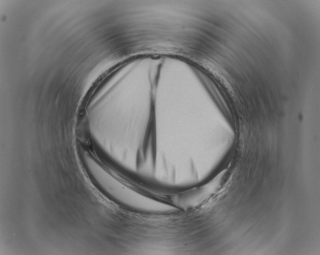 X0000088161085200706121555