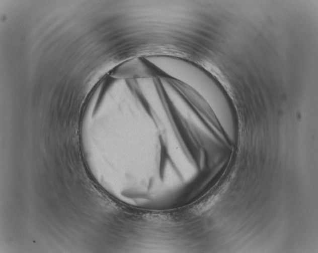 X0000088161089200706121555
