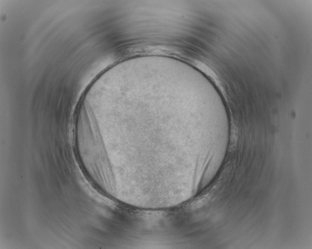 X0000088161090200706121555