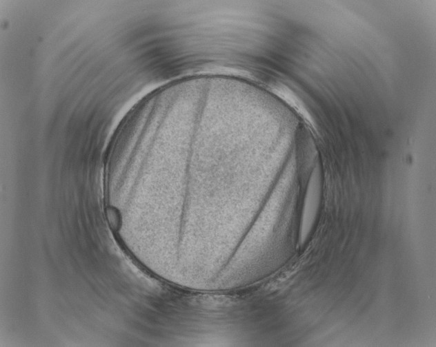 X0000088161092200706121555