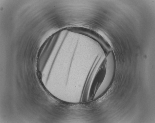 X0000088161093200706121555