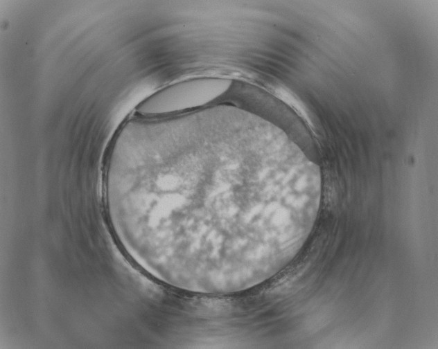 X0000088161095200706121555