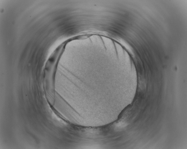 X0000088161102200706121555