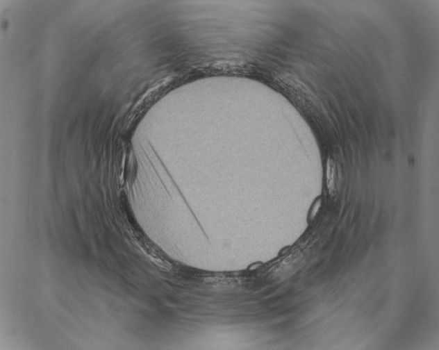 X0000088161107200706121554
