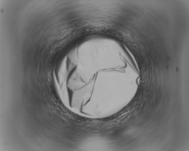 X0000088161109200706121554