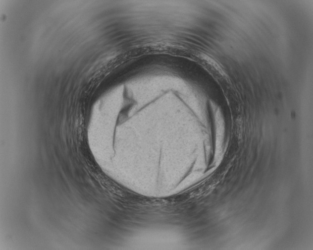 X0000088161111200706121554