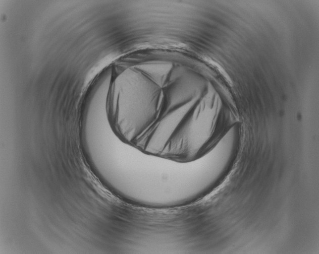 X0000088161114200706121554