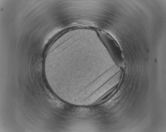 X0000088161115200706121554