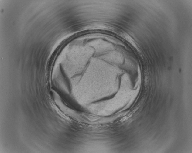 X0000088161116200706121554