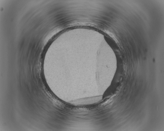 X0000088161119200706121554