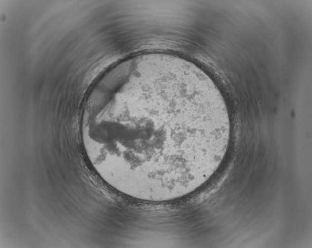 X0000088161121200706121554