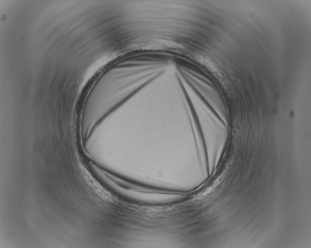 X0000088161122200706121554