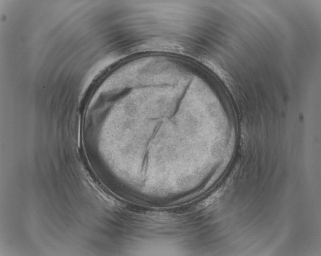 X0000088161123200706121554