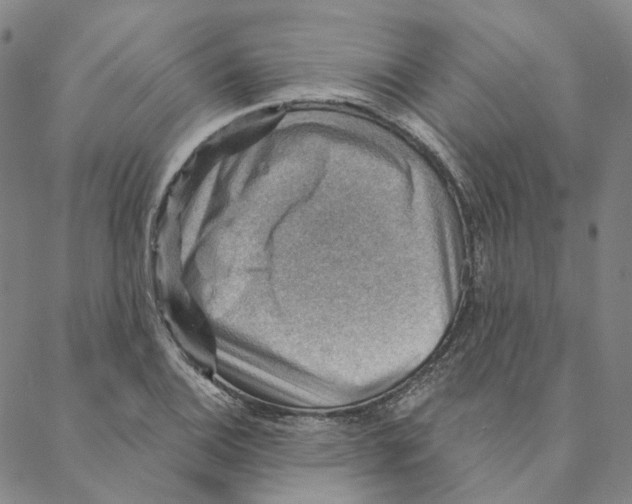 X0000088161124200706121554