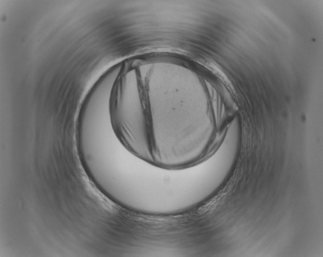 X0000088161132200706121555