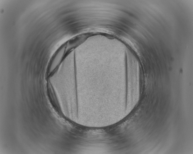 X0000088161133200706121555