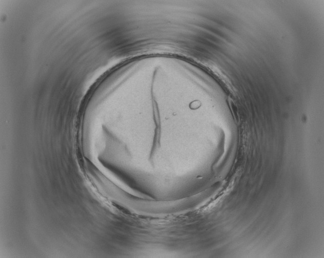 X0000088161134200706121555