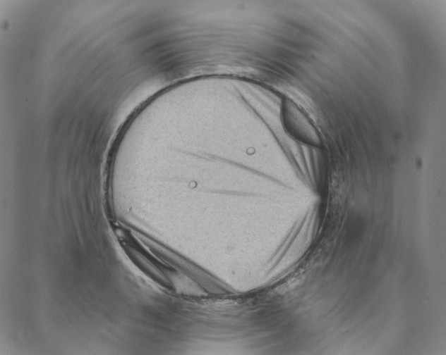 X0000088161135200706121555