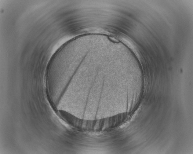 X0000088161141200706121555