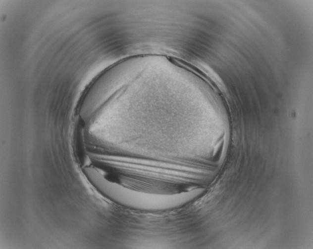 X0000088161144200706121555
