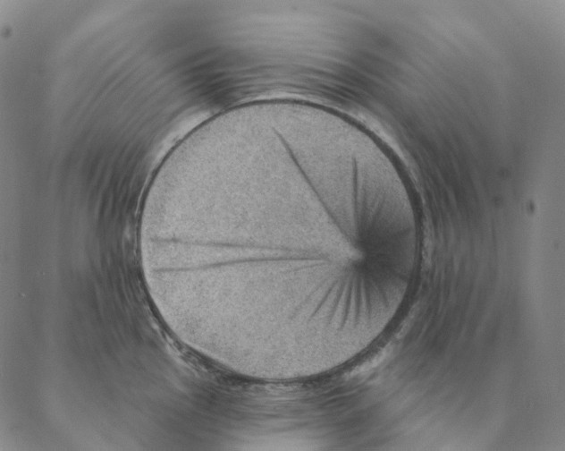 X0000088161145200706121555