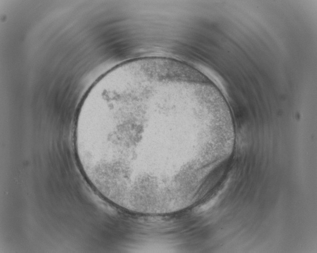 X0000088161149200706121555