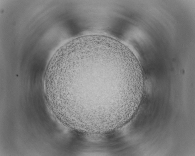 X0000088161150200706121555