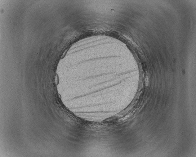 X0000088161153200706121554