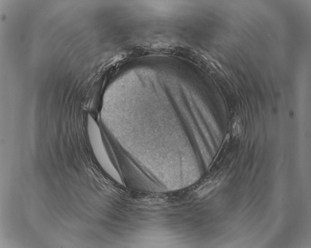 X0000088161156200706121554