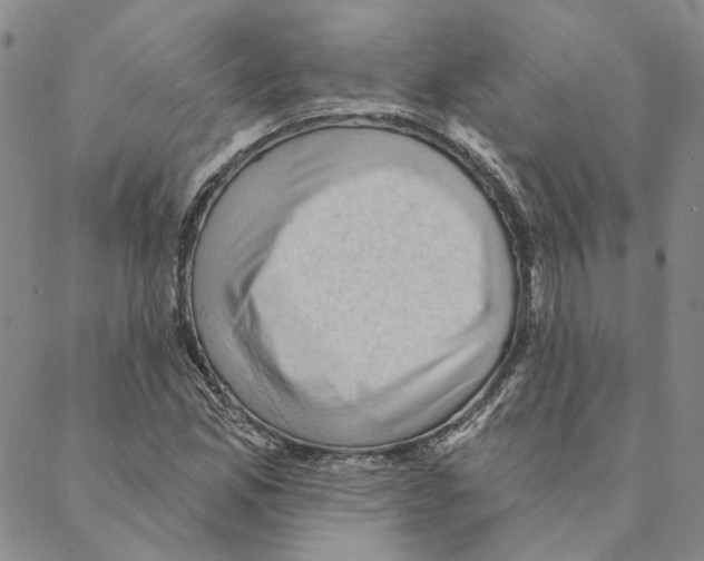 X0000088161165200706121554