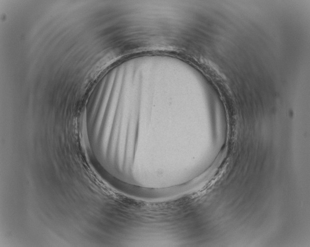 X0000088161169200706121554