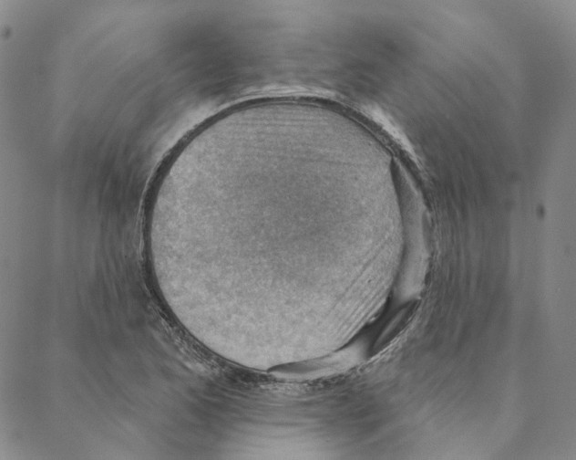X0000088161173200706121554
