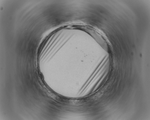 X0000088161176200706121554