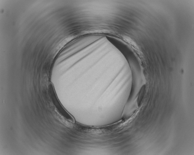 X0000088161177200706121554