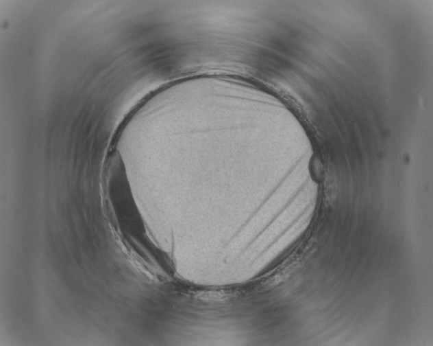 X0000088161182200706121554