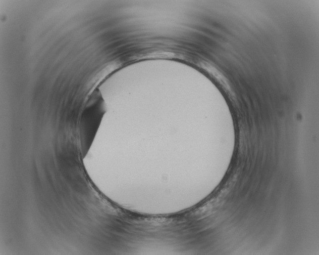 X0000088161193200706121553