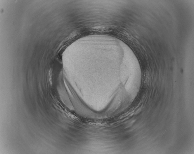 X0000088161202200706121553