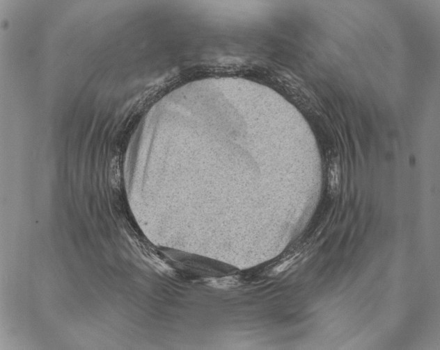 X0000088161204200706121553