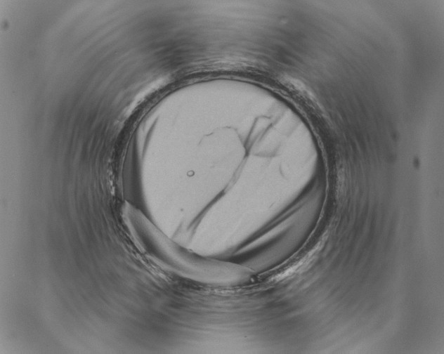 X0000088161210200706121553