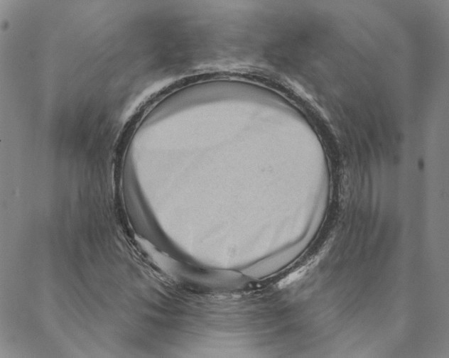 X0000088161214200706121553