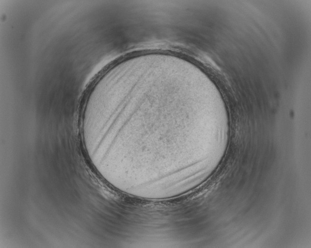 X0000088161216200706121553