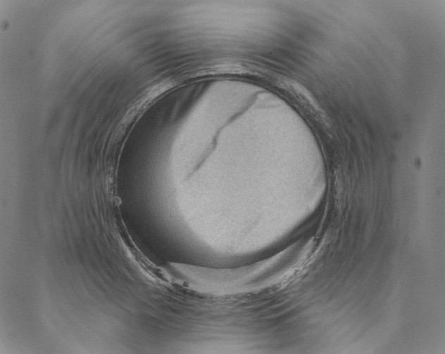 X0000088161225200706121553