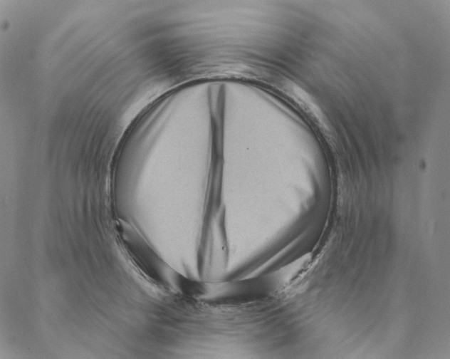 X0000088161234200706121553