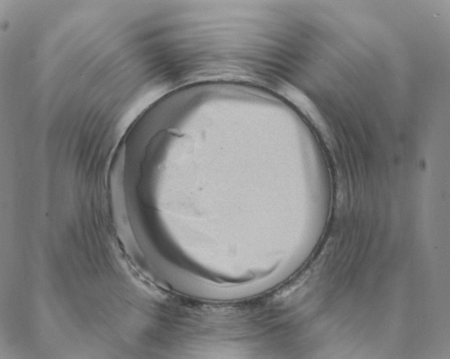 X0000088161242200706121553