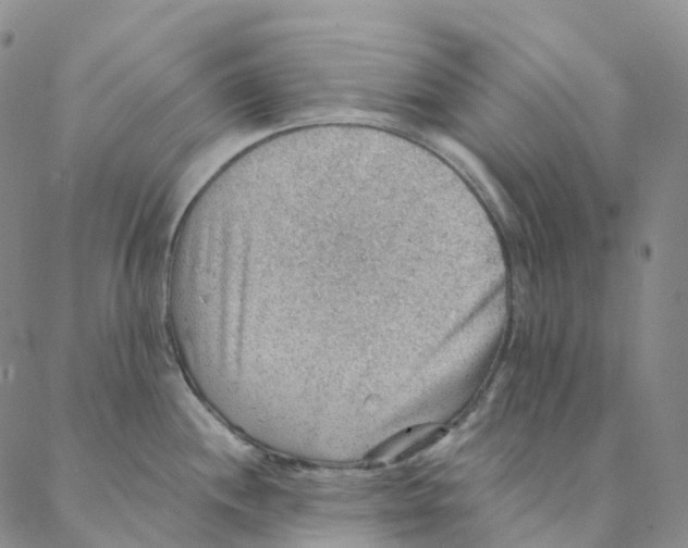 X0000088161244200706121553