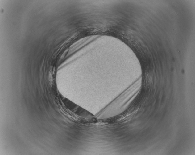 X0000088161250200706121552