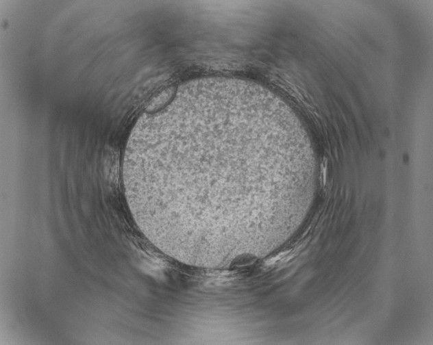 X0000088161251200706121552